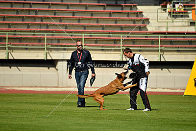 Independent Spirit's Iloy