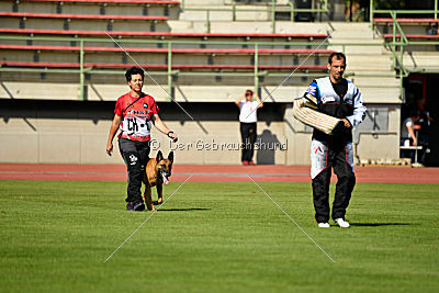 Independent Spirit's Iloy