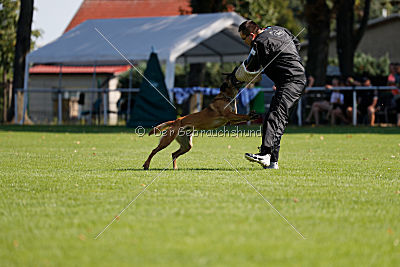 Independent Spirit's Isidora