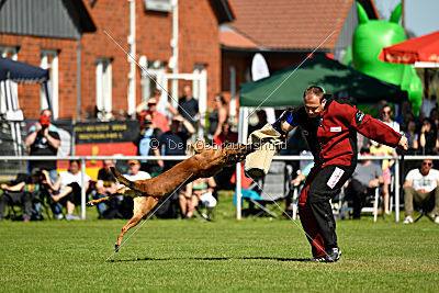 Independent Spirit's Kentucky