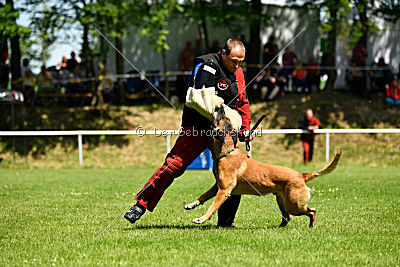 Independent Spirit's Moon