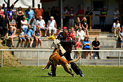 Independent Spirit's Moon