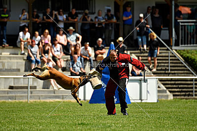 Independent Spirit's Moon