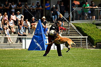 Independent Spirit's Moon