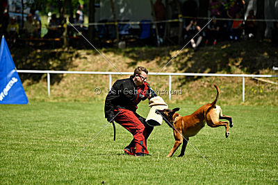 Independent Spirit's Moon