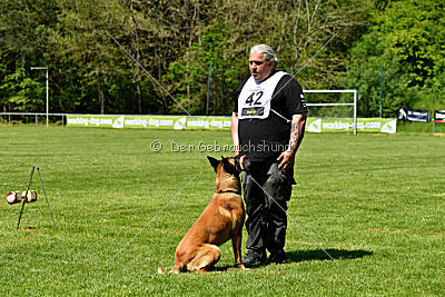 Independent Spirit's Moon