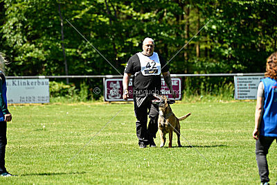 Independent Spirit's Moon