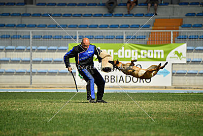 Independent Spirit's Nayeli