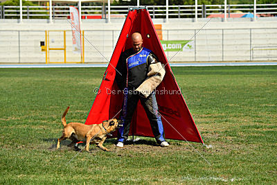 Independent Spirit's Nayeli