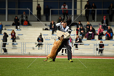 Independent Spirit's Nayeli