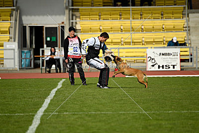 Independent Spirit's Nayeli