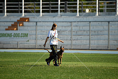 Independent Spirit's Noyman