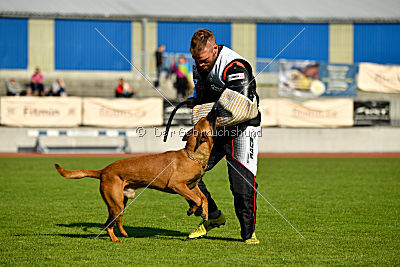 Independent Spirit's Noyman