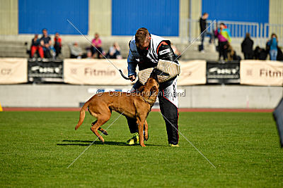 Independent Spirit's Noyman