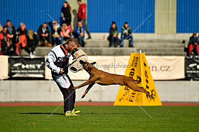 Independent Spirit's Noyman