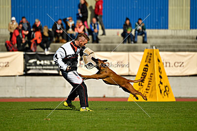 Independent Spirit's Noyman