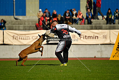 Independent Spirit's Noyman