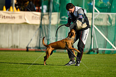 Independent Spirit's Noyman