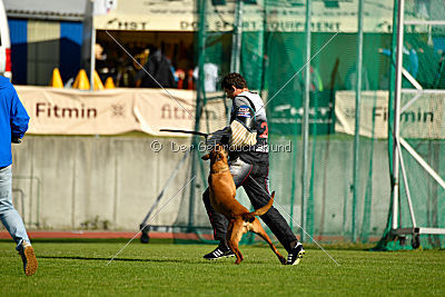 Independent Spirit's Noyman