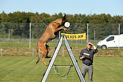 Independent Spirit‘s Maiden