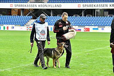 Indio dell'Altopiano