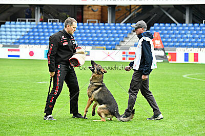 Indio dell'Altopiano