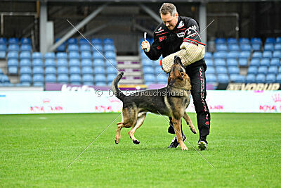 Indio dell'Altopiano