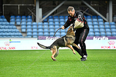 Indio dell'Altopiano