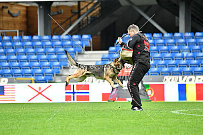 Indio dell'Altopiano