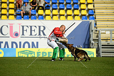 Indio dell'Altopiano