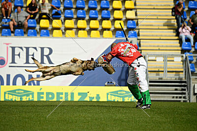 Indio dell'Altopiano