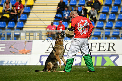 Indio dell'Altopiano