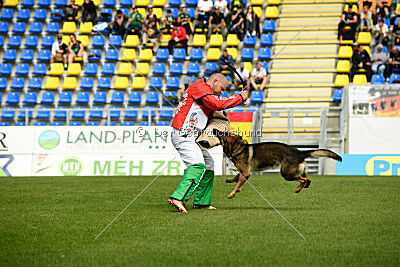 Indio dell'Altopiano