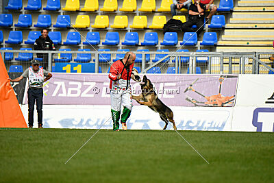 Indio dell'Altopiano