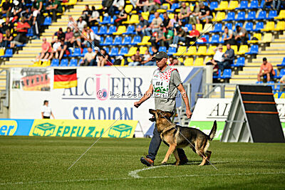 Indio dell'Altopiano