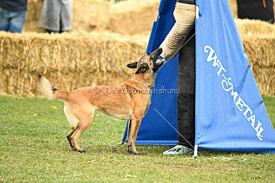Indy vom Causa Nostre Letitia
