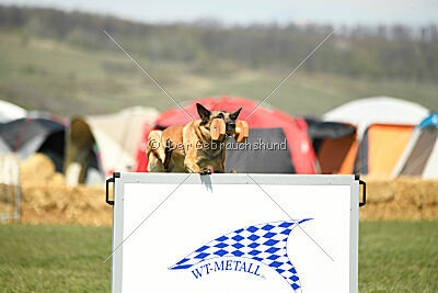 Indy vom Causa Nostre Letitia