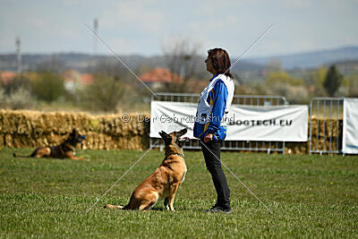 Indy vom Causa Nostre Letitia