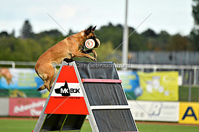 Indy vom Causa Nostre Letitia