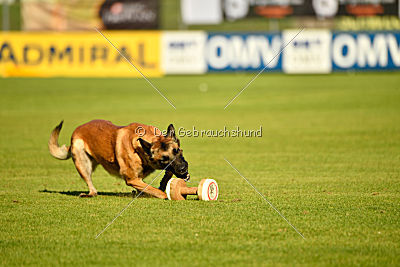 Indy vom Causa Nostre Letitia