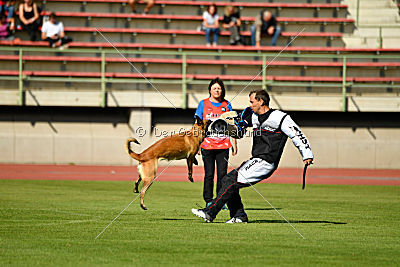 Indy vom Causa Nostre Letitia