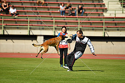 Indy vom Causa Nostre Letitia