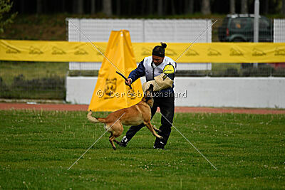 Indy vom Causa Nostre Letitia