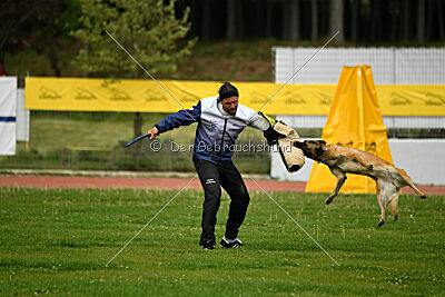 Indy vom Causa Nostre Letitia