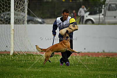 Indy vom Causa Nostre Letitia