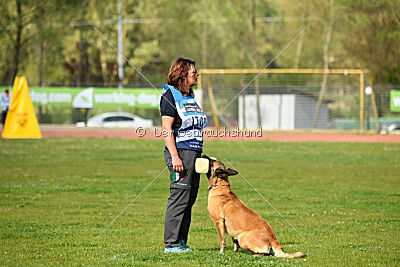 Indy vom Causa Nostre Letitia