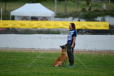 Indy vom Causa Nostre Letitia