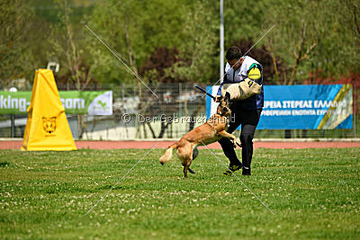 Indy vom Causa Nostre Letitia