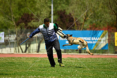 Indy vom Causa Nostre Letitia