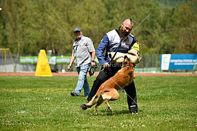 Indy vom Causa Nostre Letitia